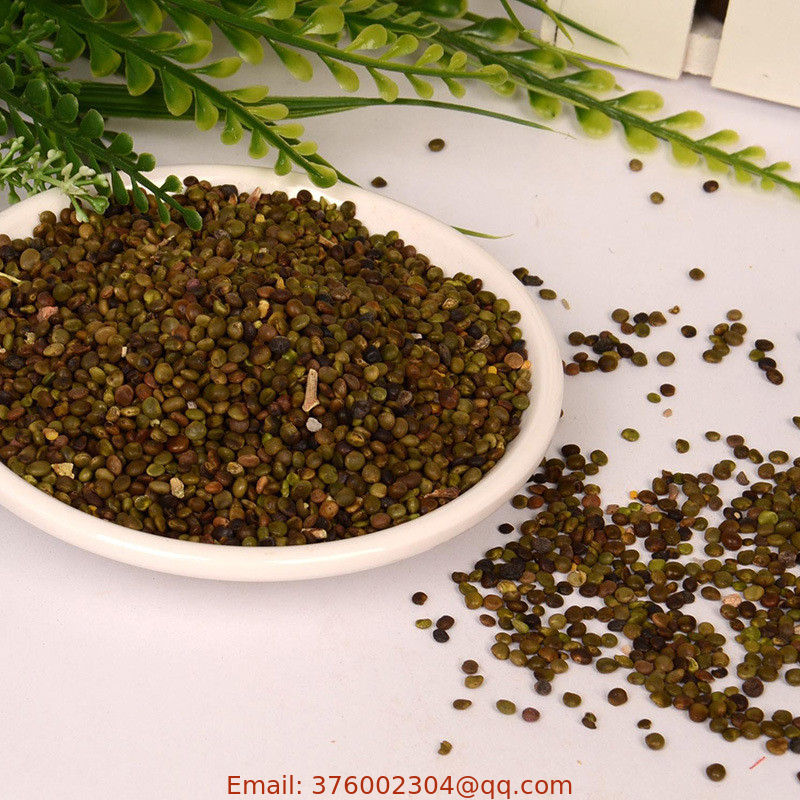 1kg natural ripe Licorice seeds herb NON-GMO Glycyrrhiza glabra seeds for planting