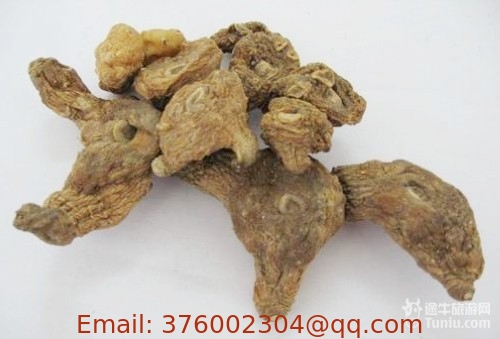 Polygonatum sibiricum,dried roots,rhizome,Huang jing, herb