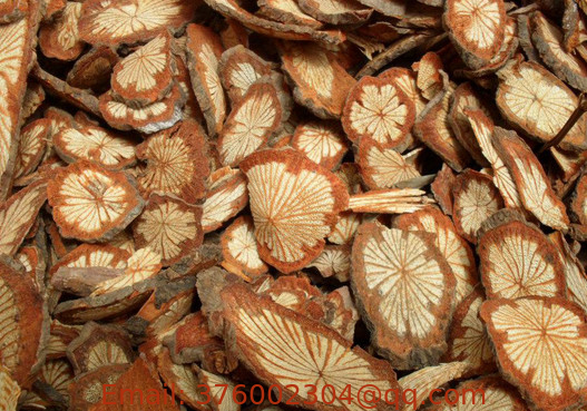 Sargentodoxa cuneata stems,Da xue Teng, sliced and dried