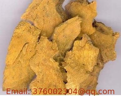 Polygonum cuspidatum root giant knot weed Reynoutria japonica Houtt dried rhizome Hu zhang