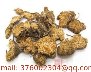 Organic certified Atractylodes Lancea Thunb DC dry root cuts for traditional chinese herb Cang zhu