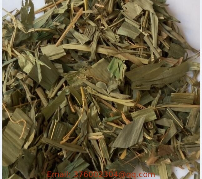Online chinese herb store Lophatherum gracile Brongn leaves Common Lopatherum Herb Dan zhu ye