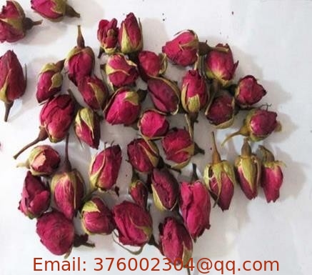 Chinese rose flos rosae sinensis Rosa chinensis Jacq flower natural medicine Yue ji hua