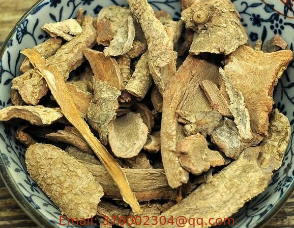Pseudolarix kamepferi Gord root bark dried Golden Larch Bark natural chinese herbal medicine tu jing pi