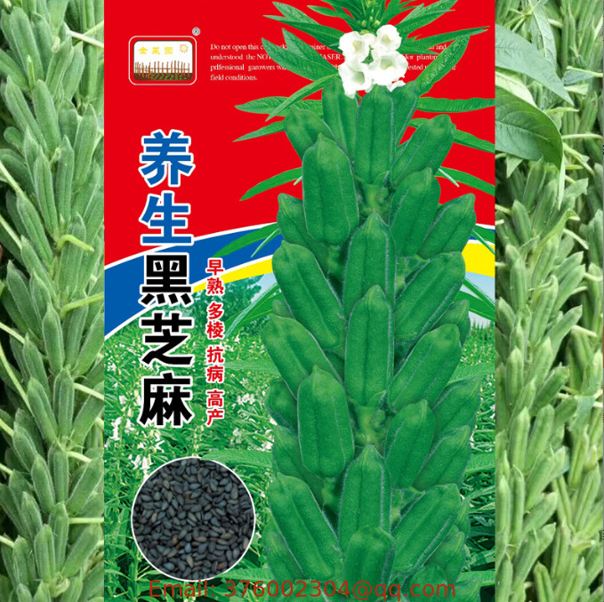 50g/bag High grade Wholesale price vegetable seed new black sesame seed for farming
