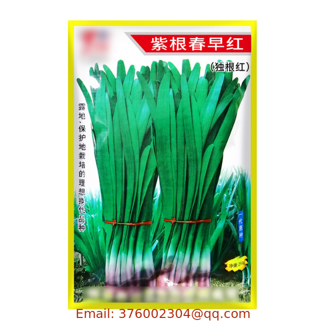 250g/bag Bulk edible vegetable Allium tuberosum GARLIC CHIVES SEEDS for plant