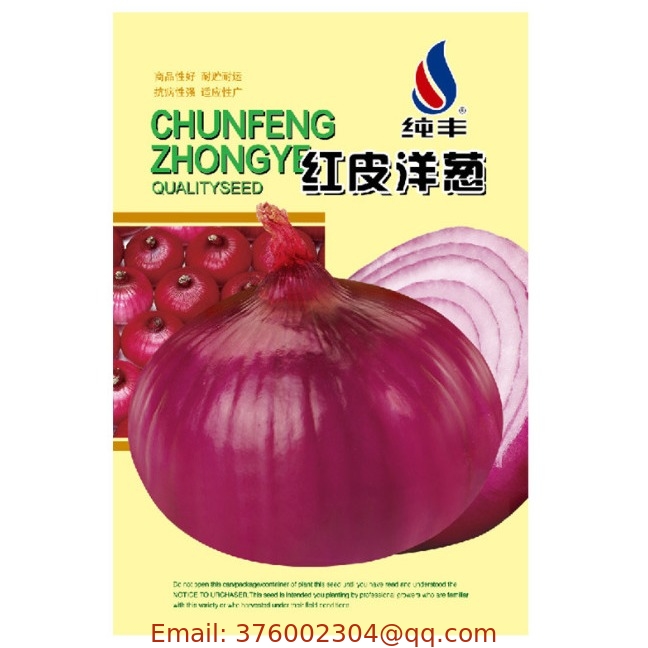 200pcs/bag common onion seeds Normal vegetable red bulb onion seed