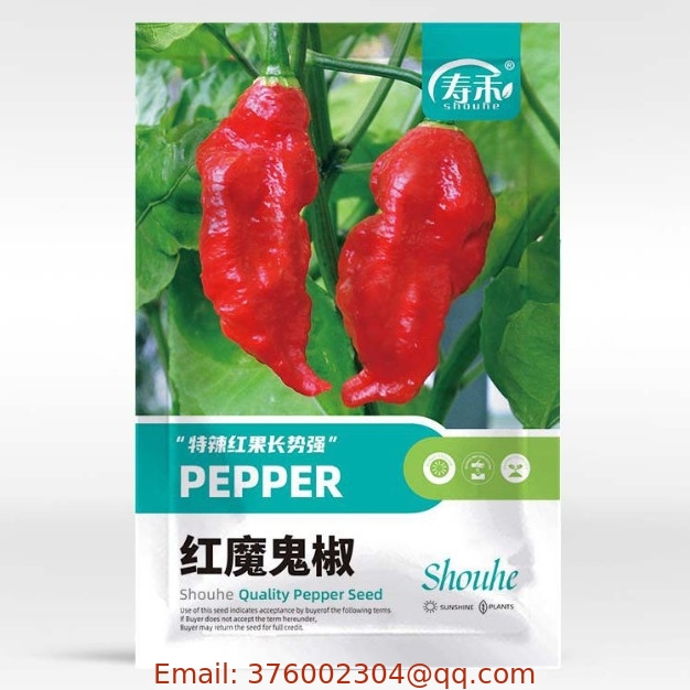 Super Hot yellow chili indian devil pepper seeds for sowing with high yeild