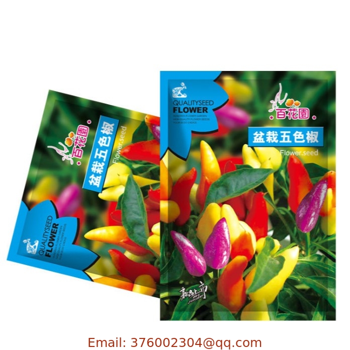 Potted five color pepper seeds colored small pepper seeds indoor balcony for viewing and eating