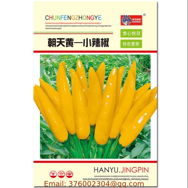 NON-GMO Premium Yellow chili hot pepper seeds virus resistant