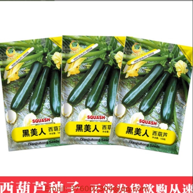 Dark green color Summer squash marrow Zucchini seeds for planting