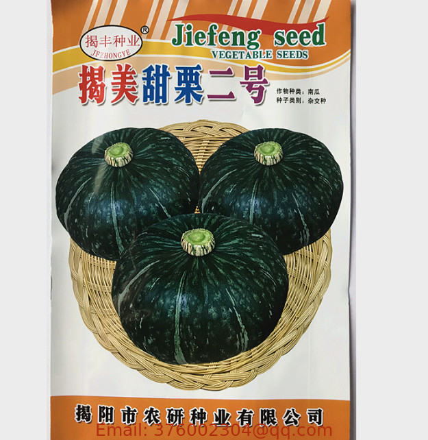 15pcs/bag hybrid natural sweet soft Organic new Kabocha squash seeds for market