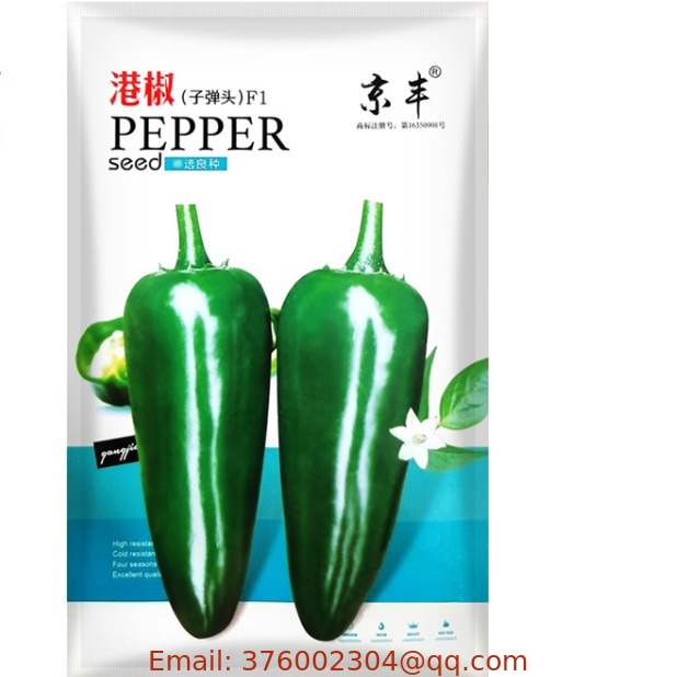 Mexico jalapeno chili pepper seeds Capsicum annuum for sowing